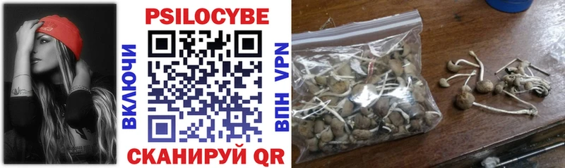 Галлюциногенные грибы Psilocybine cubensis  хочу наркоту  Воронеж 